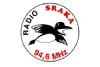 Radio Sraka